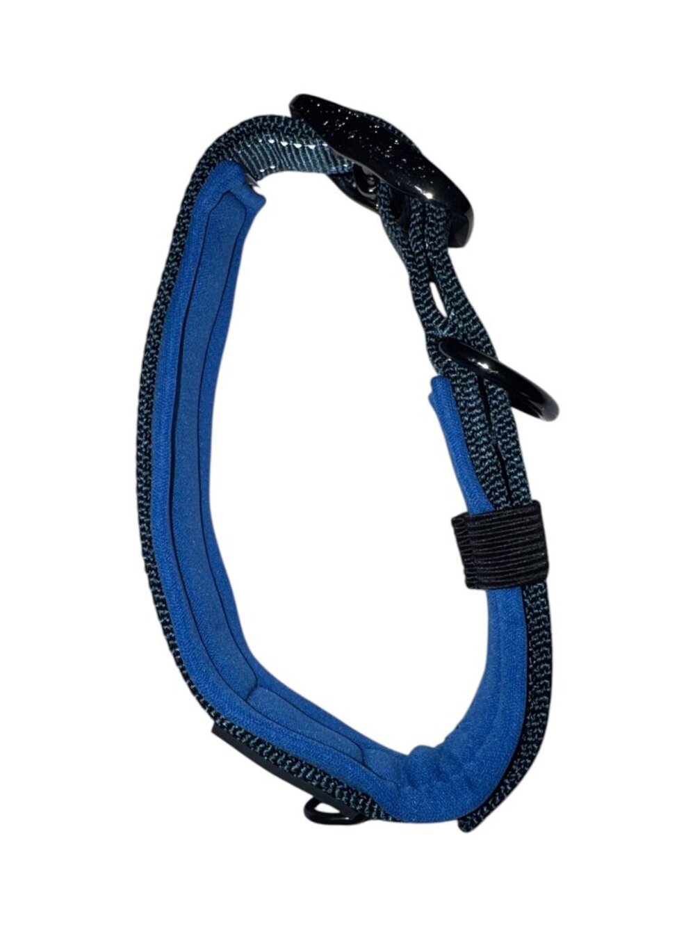 Blue Dog Collar Adjustable Size Medium